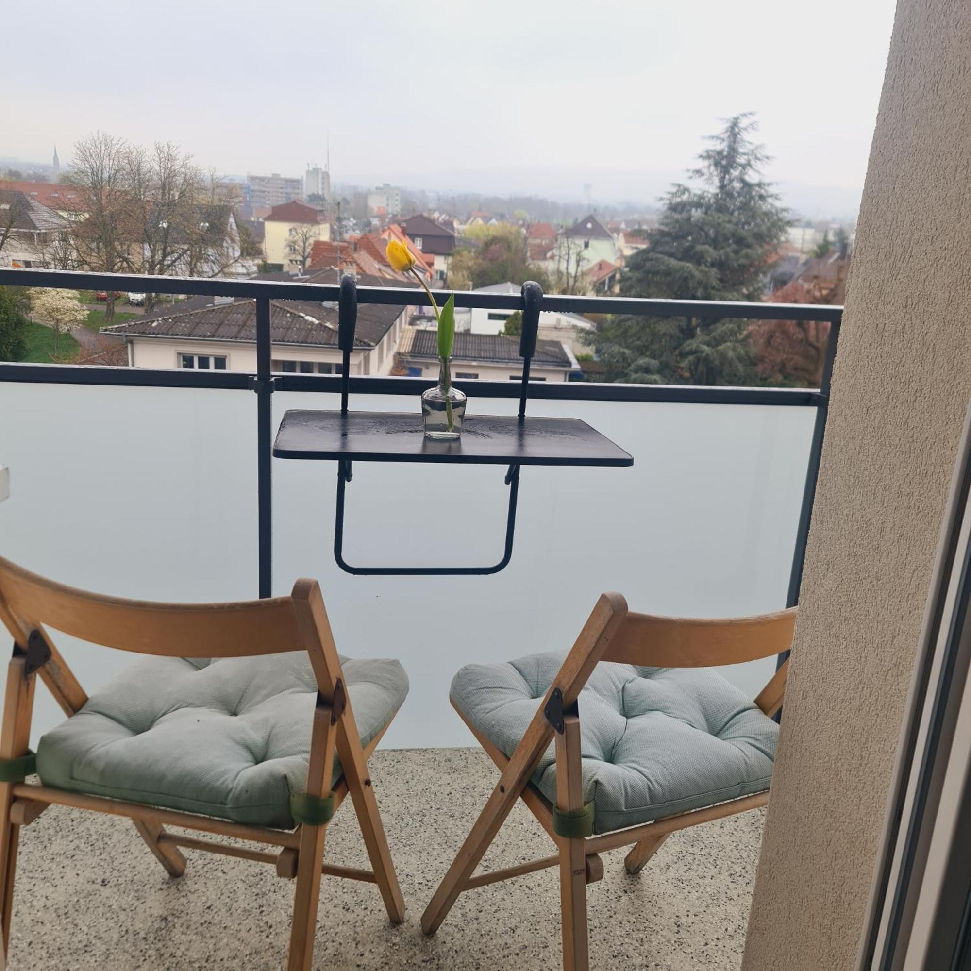 Studio Kulla Avec Terasse 5Mn Basel Airport سا لووي المظهر الخارجي الصورة